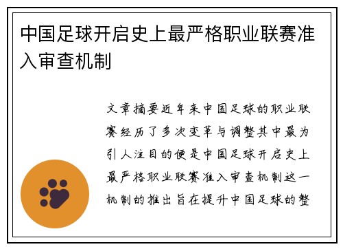 中国足球开启史上最严格职业联赛准入审查机制